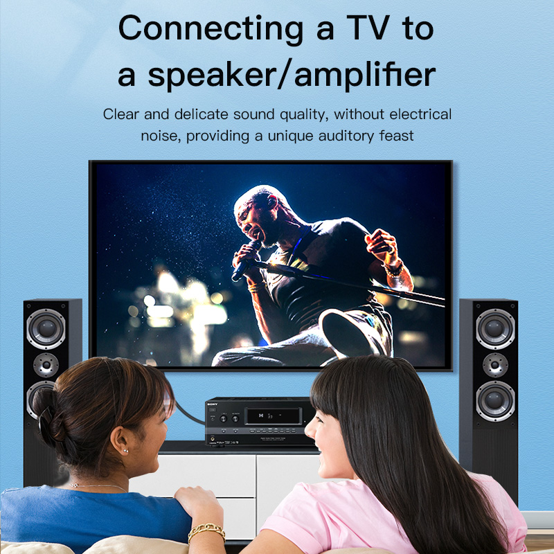 CHOSEAL RCAケーブル デジタル同軸オーディオケーブ - Klipsch Home Cinema のレビューと価格